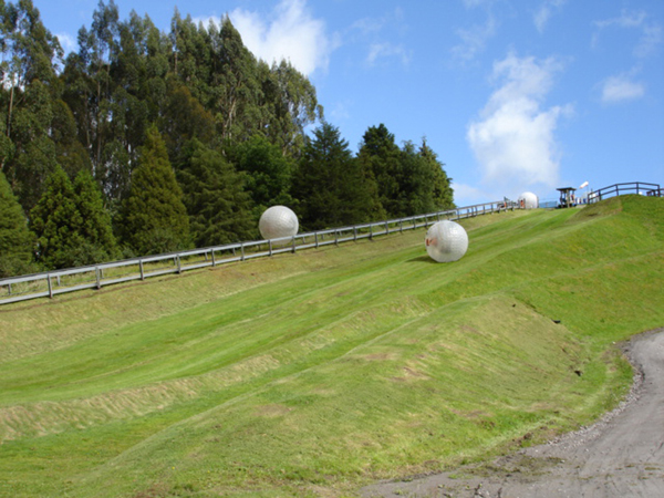 zorbing course in New Zealand